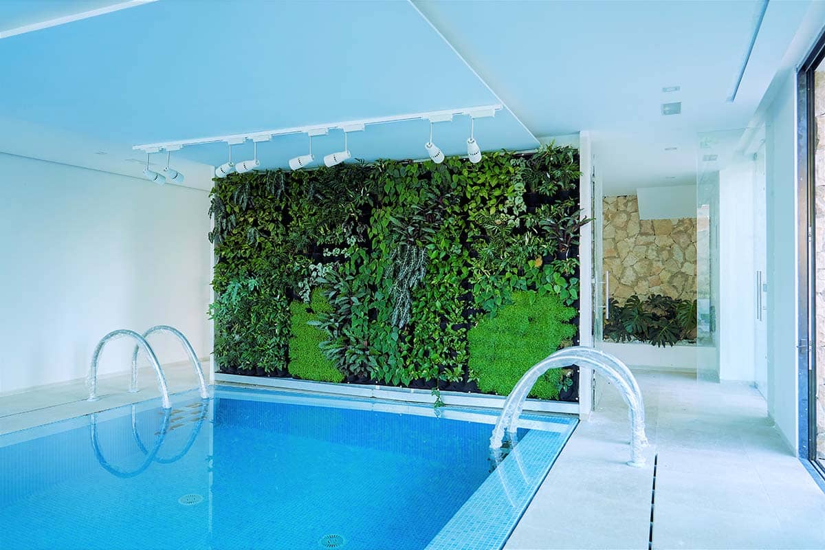 jardin vertical interior domus vivendi