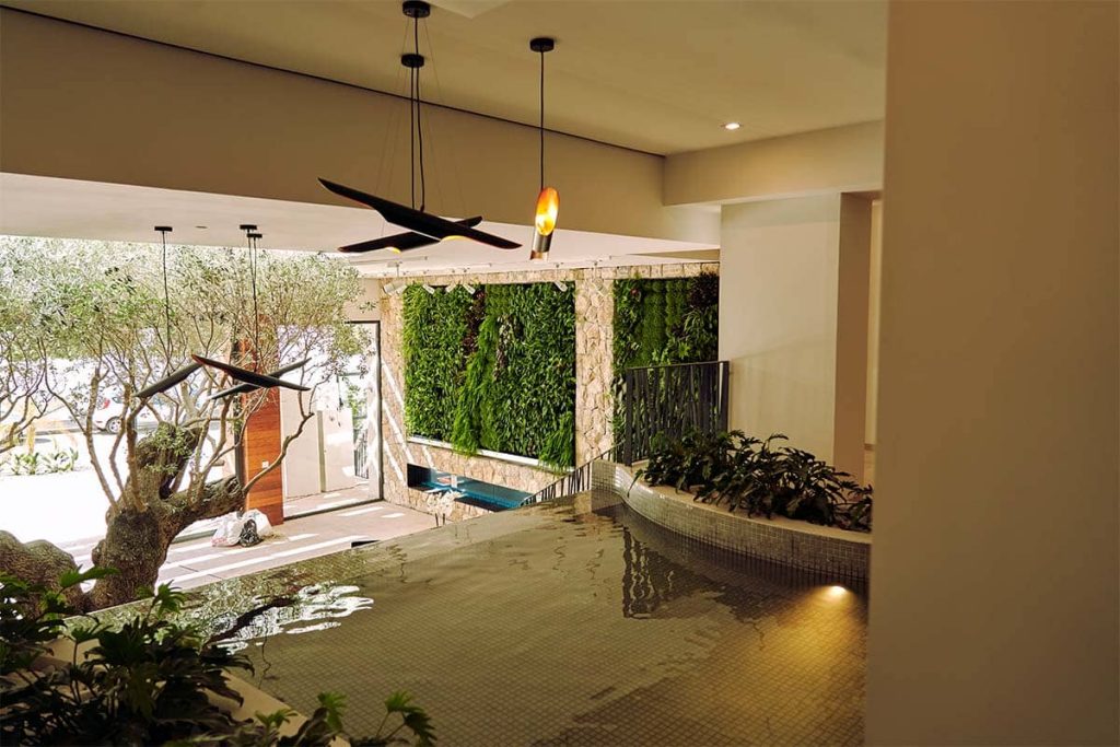 domus vivendi jardin vertical interior