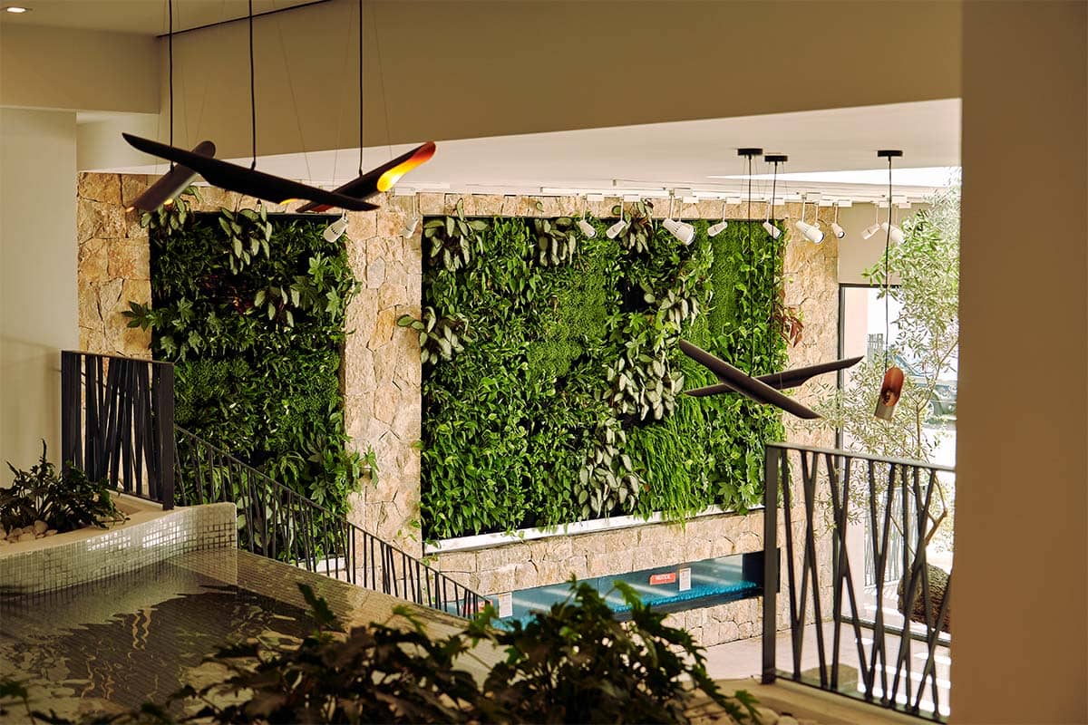 domus vivendi muro vegetal interior 