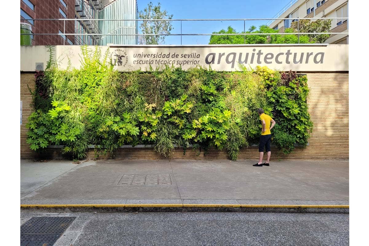 jardin vertical escuela arquitectura sevilla