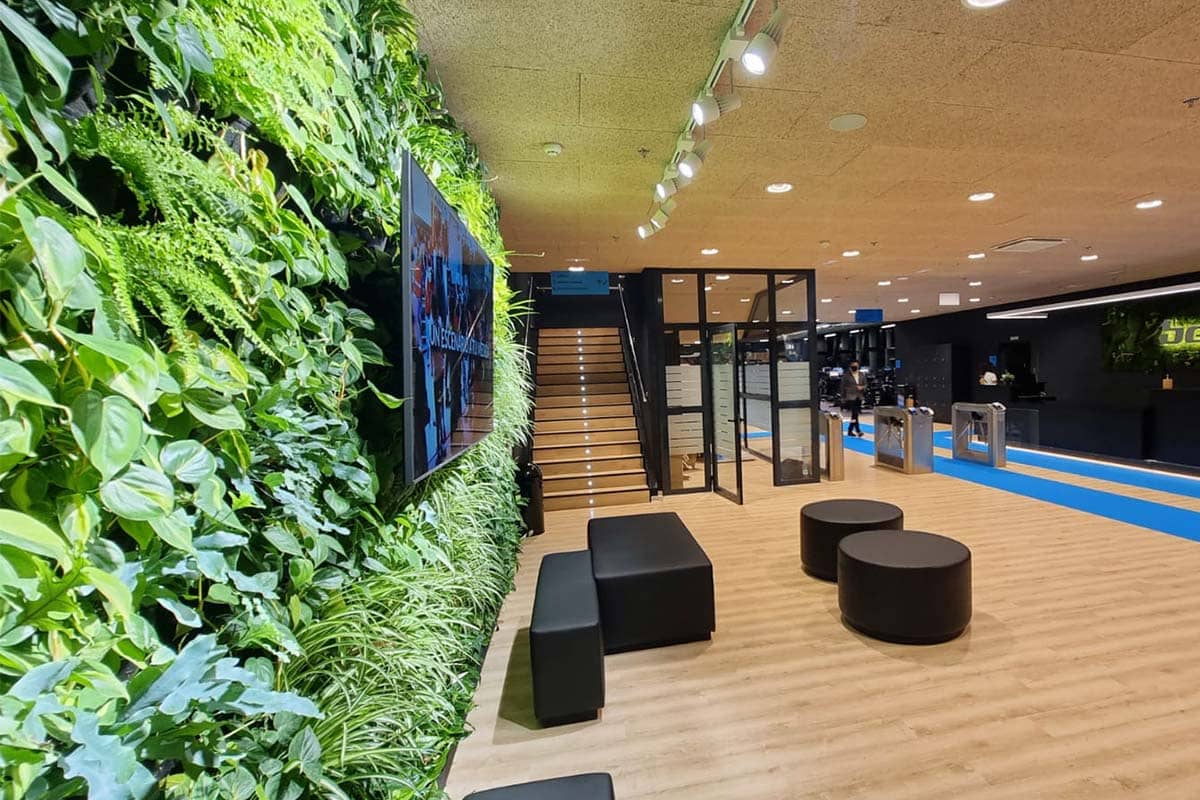 gimnasio be up jardin vertical