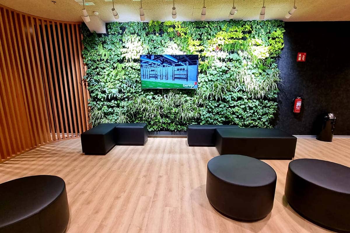 gimnasio be up bilbao jardin vertical