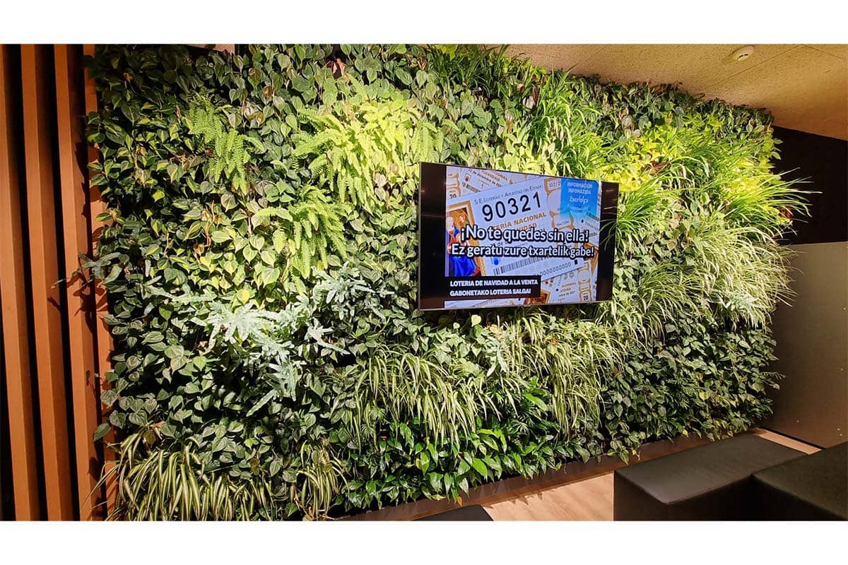 muro vegetal gimnasio be up bilbao