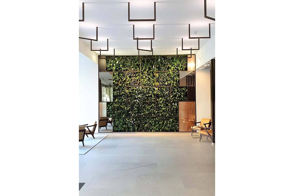 recepcion golden square muro vegetal interior