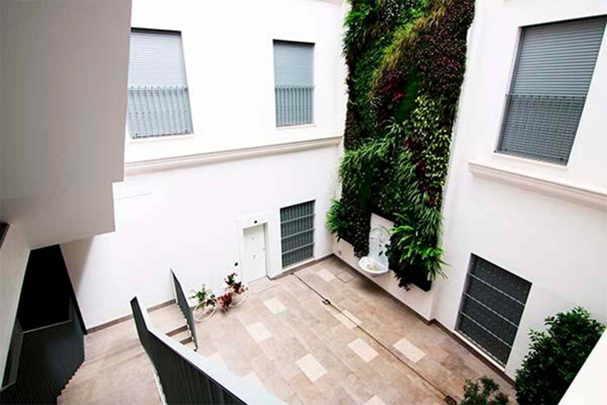 muro vegetal vivienda goyeneta