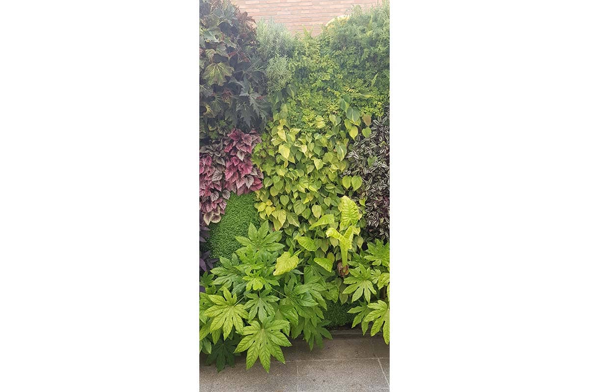 ajardinamiento vertical hospital quiron 