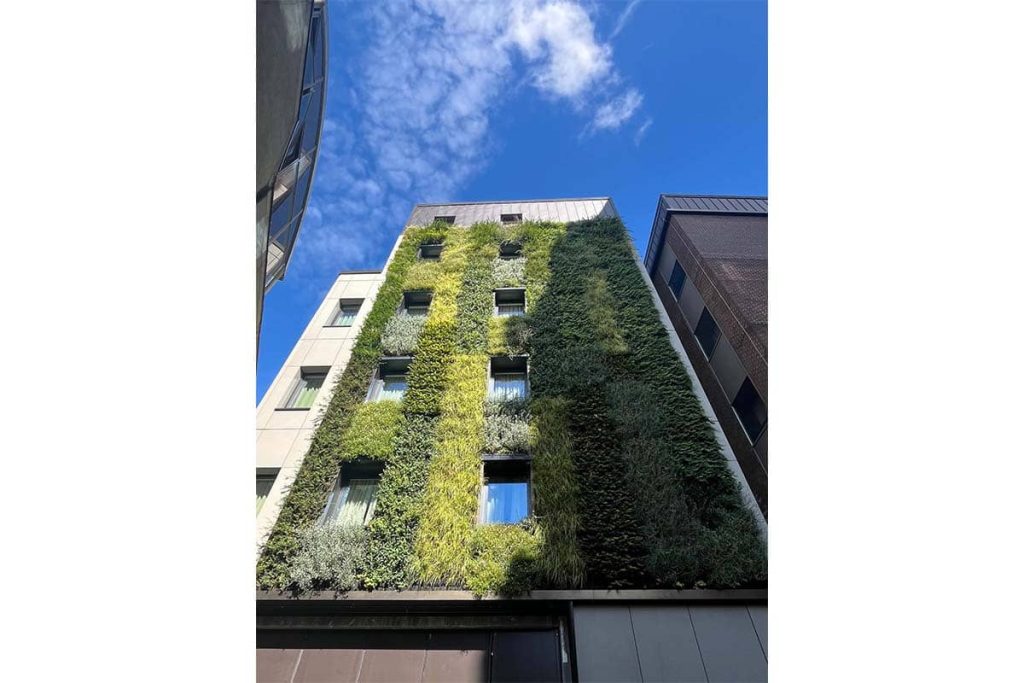 hotel hoxton jardin vertical