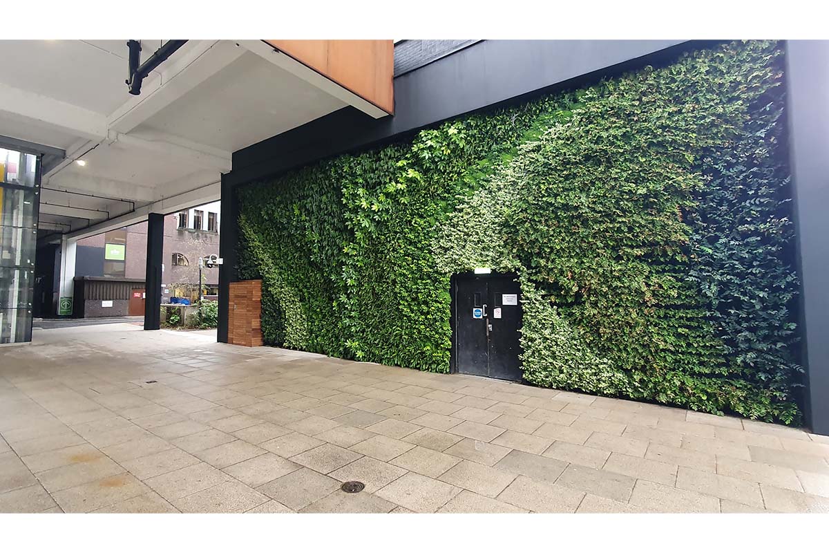 muro vegetal metro londres