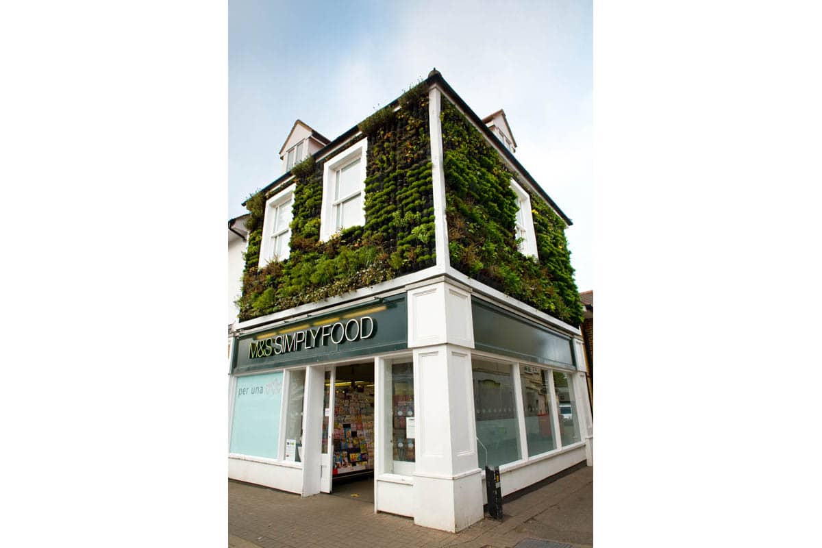 jardin vertical m y s epping