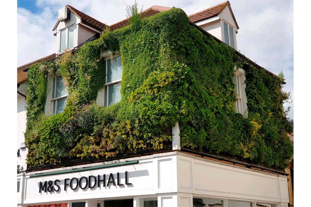 m y s epping muro vegetal