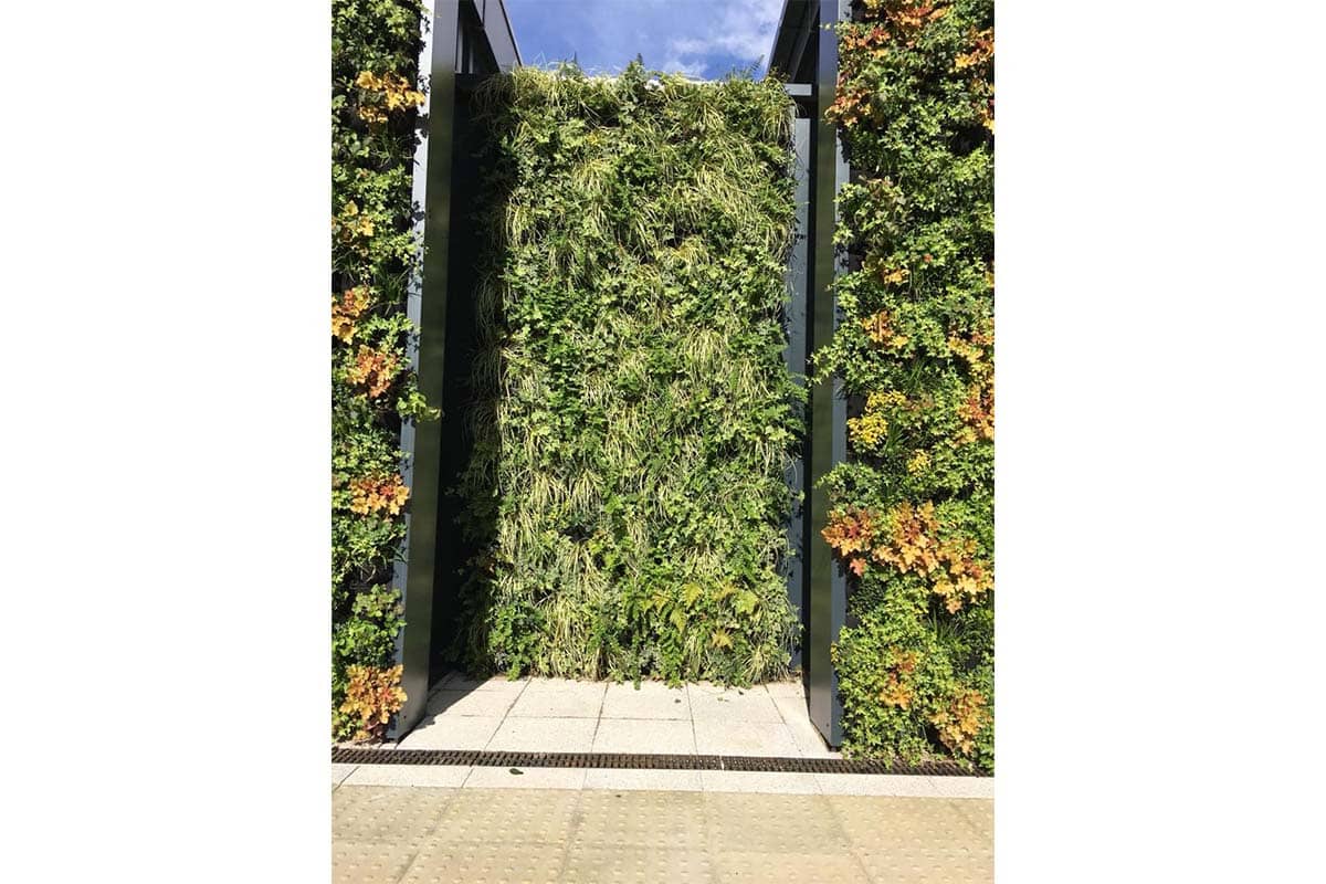 parliament hill school jardin vertical