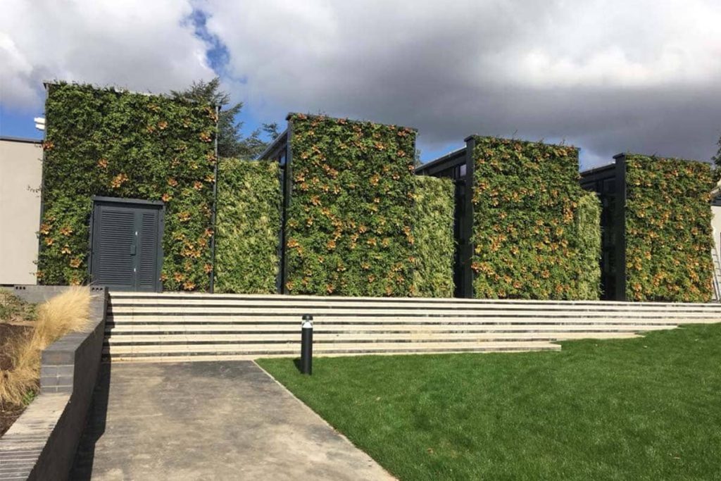 muro vegetal parliament hill school