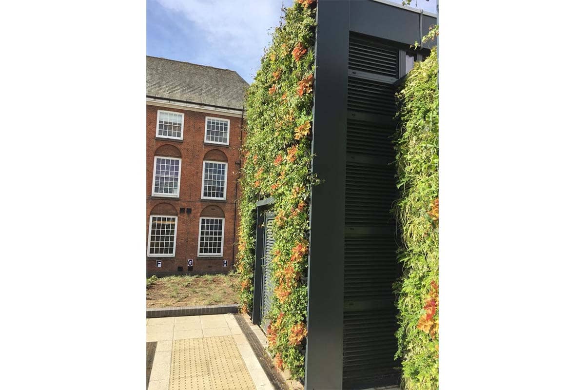 parliament hill school 
muro vegetal 