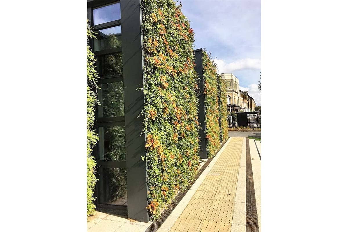 pared vegetal parliament hill school