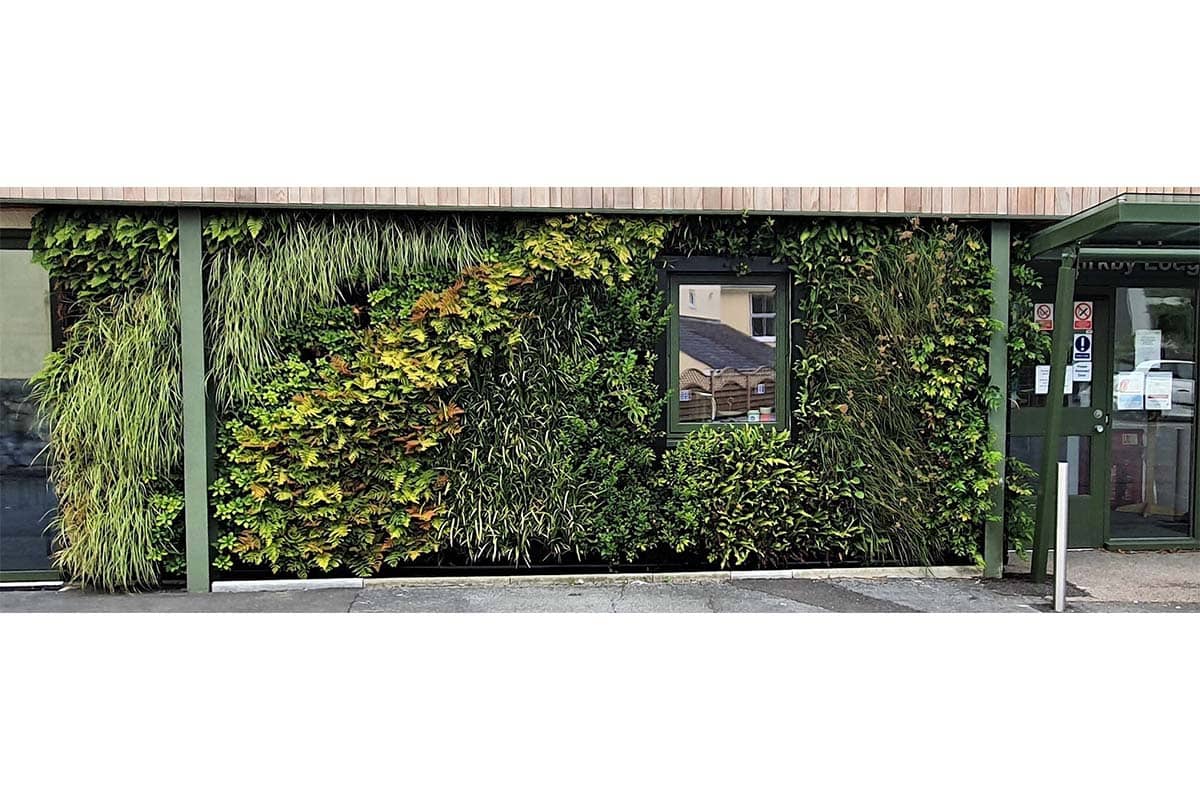 plymouth university muro vegetal