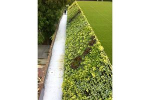 oficina porsche jardin vertical 