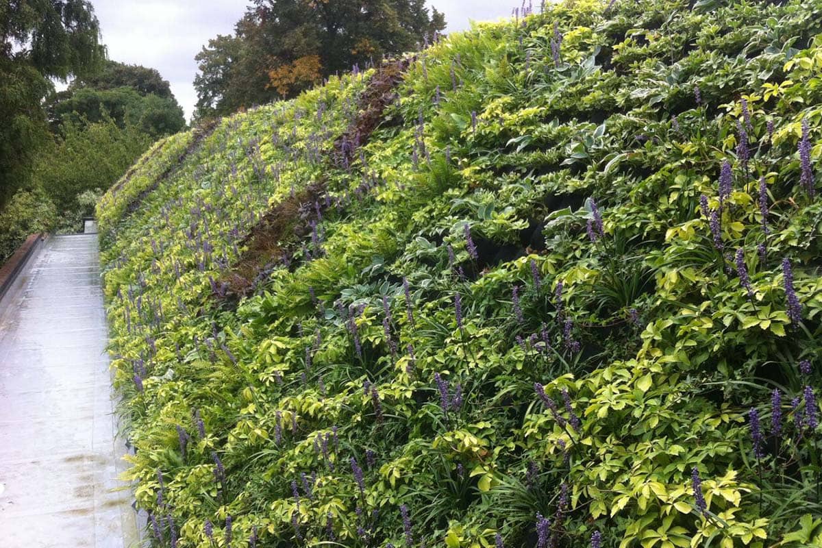 oficina porsche fachada vegetal