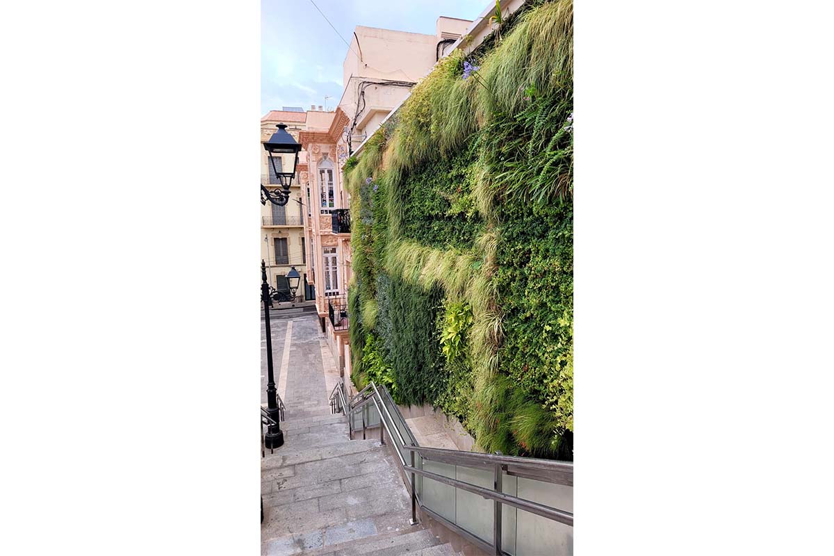 plaza de melilla jardin vertical