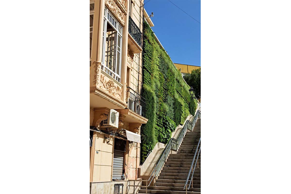 muro vegetal plaza melilla