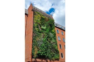 london tower bridge jardin vertical 