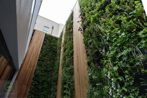 jardin vertical vivienda en wellington close
