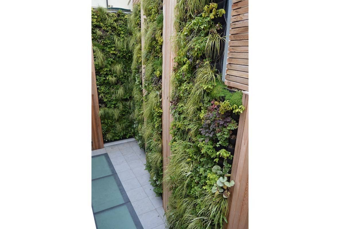 muro vegetal vivienda en wellington close 