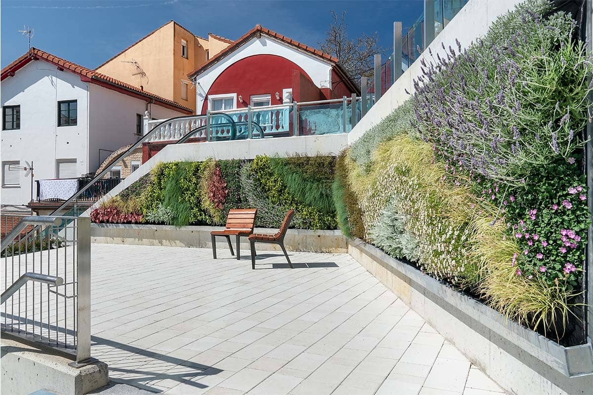 muro vegetal plaza gurugu