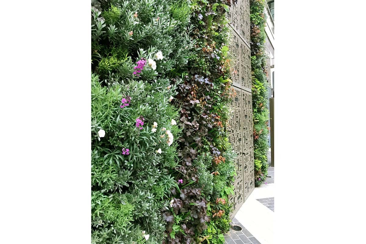 one tower bridge muro vegetal