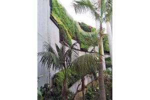 jardin vertical orquidario estepona