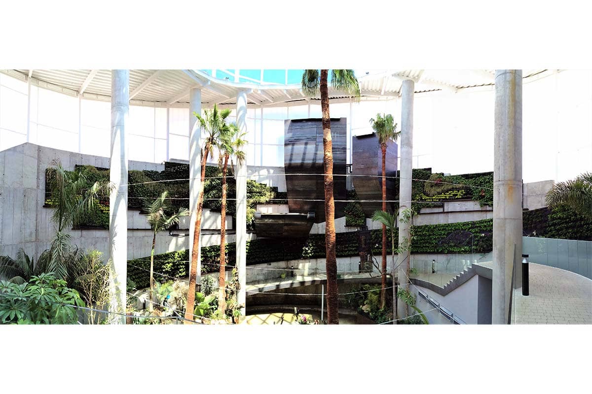 orquidario estepona jardin vertical 