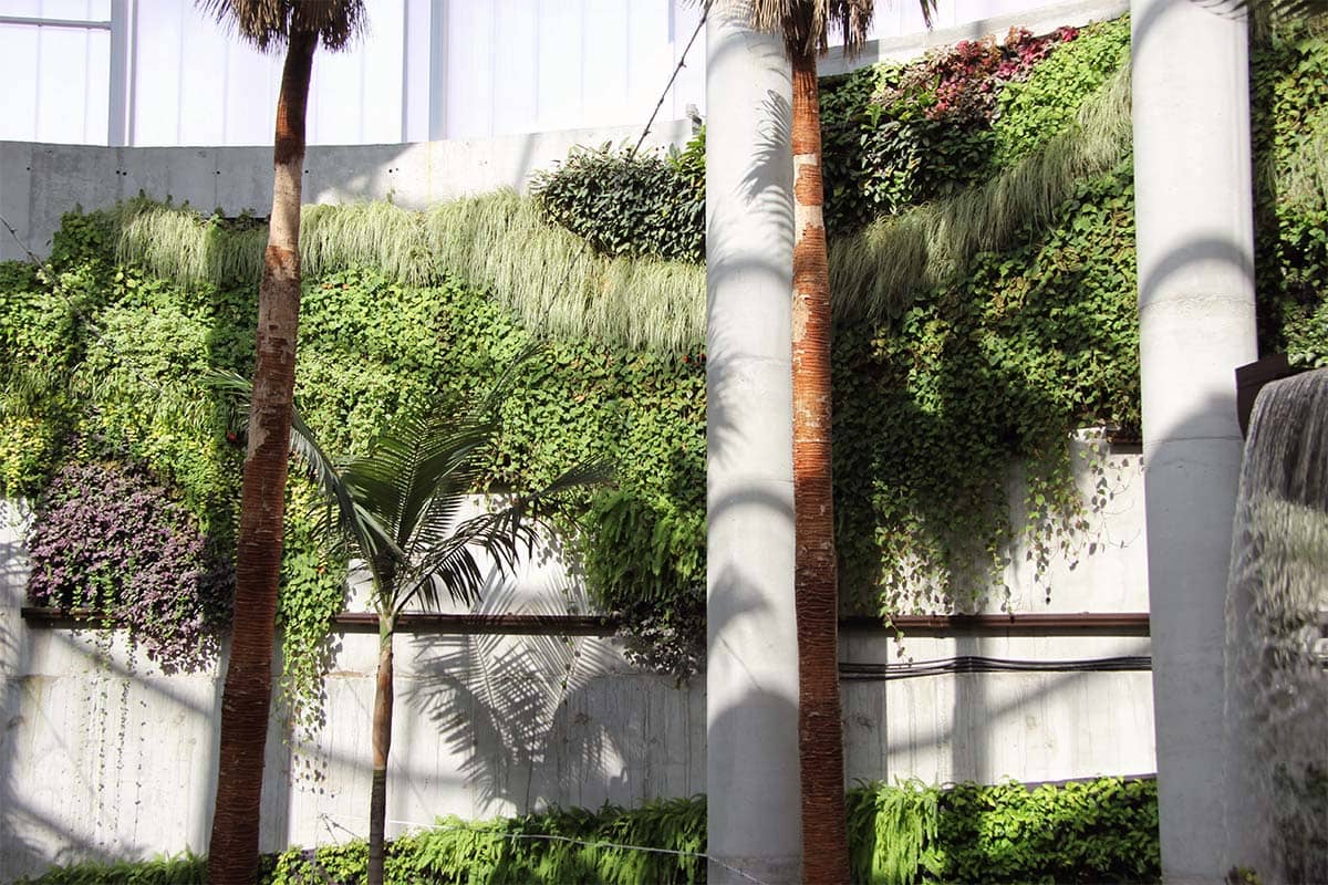 orquidario estepona muro vegetal